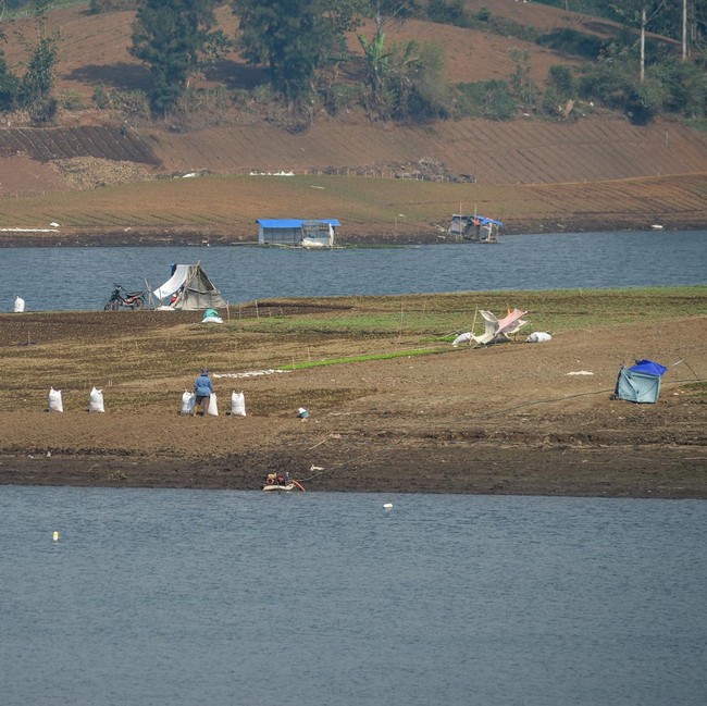 Kemarau Panjang, Situ Cileunca Menyusut hingga 40 Meter