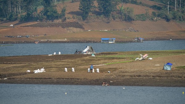 Kemarau Panjang, Situ Cileunca Menyusut hingga 40 Meter