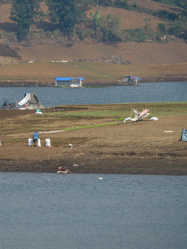 Kemarau Panjang, Situ Cileunca Menyusut hingga 40 Meter