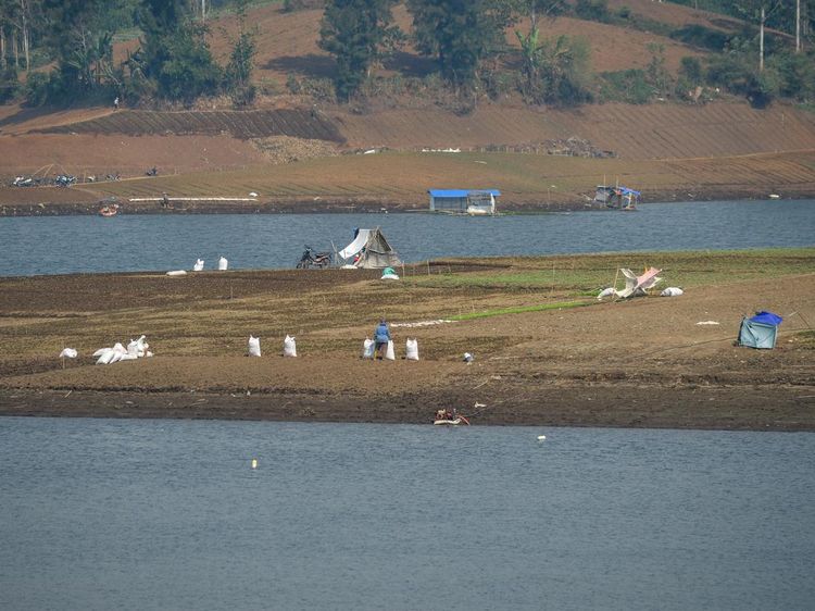 Kemarau Panjang, Situ Cileunca Menyusut hingga 40 Meter