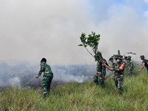 Kemenhut Gandeng Polisi Selidiki Kebakaran di Taman Nasional Way Kambas