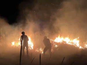 Video: Polisi Tetapkan 72 Tersangka Kasus Karhutla Nasional