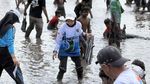 Serunya Warga Kediri Berebut Tangkap Belut di Sawah