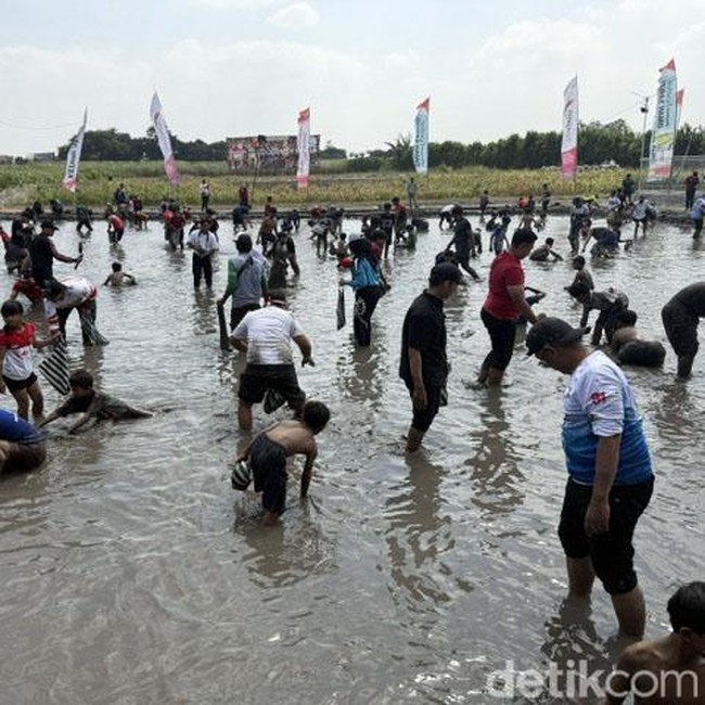 Serunya Warga Kediri Berebut Tangkap Belut di Sawah