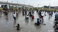 Sekitar 150 kilogram belut disiapkan dalam lomba tangkap belut di Omah Sawah, Kota Kediri.