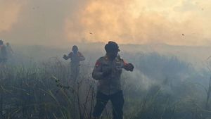 Video: Taman Nasional Way Kambas Diduga Dibakar Oknum Tidak Bertanggung Jawab