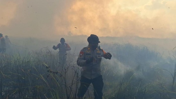 Taman Nasional Way Kambas kembali terbakar