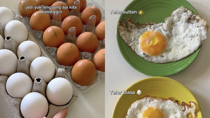 Telur dari ayam yang hidup paling bahagia di Swiss