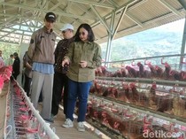 Reforma Agraria Batulawang Cianjur, dari Kepastian Lahan ke Ekonomi