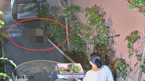 Warga Desa Tibubeneng, Kuta Utara, terkejut melihat pasangan diduga WNA berhubungan badan di depan garasi rumah, Jumat (21/8/2026) lalu. (Istimewa)