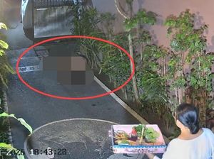Pria Mesum di Pekarangan Rumah Warga Kuta Utara Teridentifikasi WN Australia