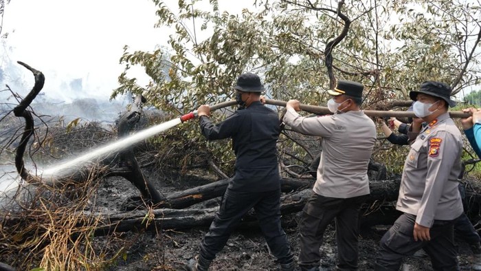 500 Personel gabungan turun memadamkan api di Kerumutan, Pelalawan, Senin (24/8/2026).
