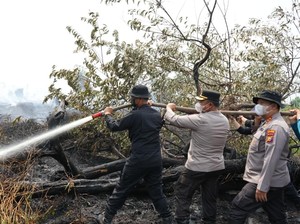 Kapolda Sebut Hotspot di Riau Tersisa 79 Titik, Karhutla di Kerumutan Zero