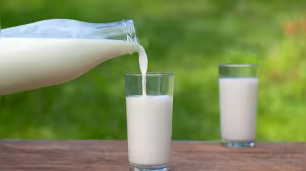 7 Jenis Susu dan Jumlah Proteinnya, dari Susu Almond sampai Susu Sapi