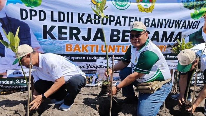 Aksi tanam mangrove dan lepas tukik di pantai cemara Banyuwangi