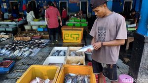 Cuaca Ekstrem Bikin Harga Ikan Laut di Sidoarjo Naik