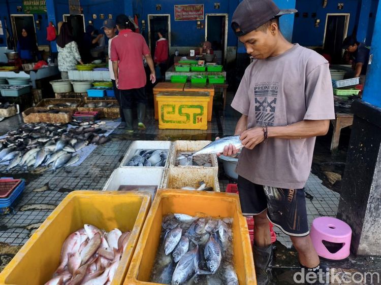 Cuaca Ekstrem Bikin Harga Ikan Laut di Sidoarjo Naik