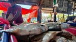Cuaca Ekstrem Bikin Harga Ikan Laut di Sidoarjo Naik