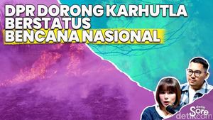 Video: Blak-blakan Komisi IV DPR Soal Luasan Lahan Terbakar di 2026
