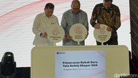 Susunan Lengkap Dewan Komisaris-Direksi DSI, Ada Bos Freeport