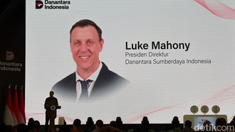 DSI Resmi Beroperasi! Mulai Atur Ekspor Batu Bara, CPO, hingga Ferro Alloy