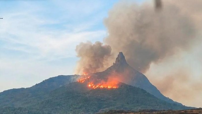 Karhutla melanda kawasan kaki Bukit Senubut, kawasan Bukit Serelo atau Jempol