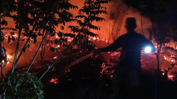 Kebakaran Hutan dan Lahan di Trenggalek