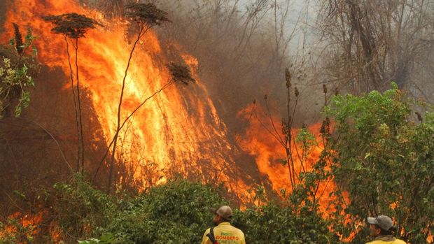 Petugas pemadam kebakaran memeriksa area yang terdampak kebakaran hutan di Concepcion, Bolivia.