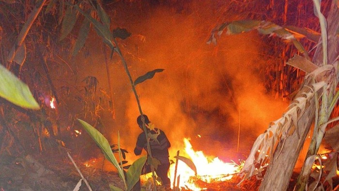Kebakaran lahan terjadi di Kampung Cipenyu, Desa Banyu Asih, Kecamatan Cigeulis, Kabupaten Pandeglang. Api diduga dari puntung rokok. (Dok istimewa).