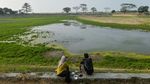 Kemarau Berkepanjangan, Waduk Sumur Karang Tangerang Kini Mengering