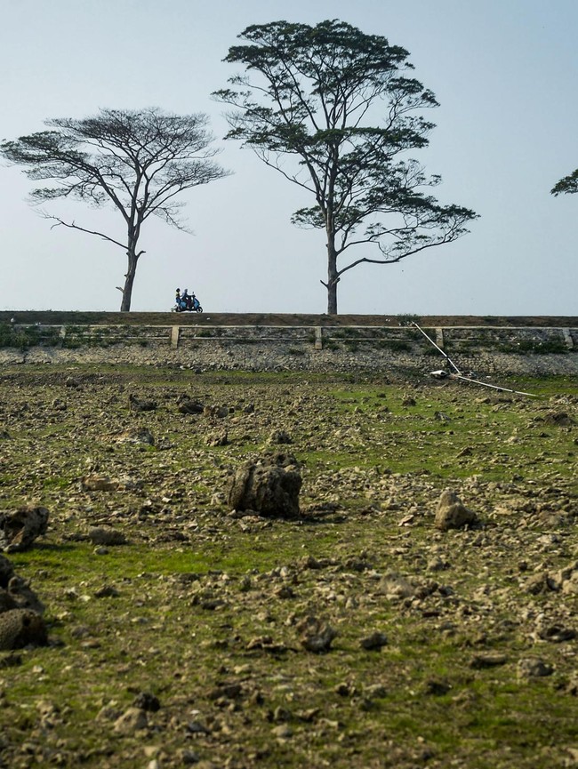 Kemarau Berkepanjangan, Waduk Sumur Karang Tangerang Kini Mengering