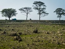 Kemarau Berkepanjangan, Waduk Sumur Karang Tangerang Kini Mengering