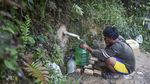 Kemarau Melanda, Warga Jambi Berburu Air hingga ke Kebun Sawit
