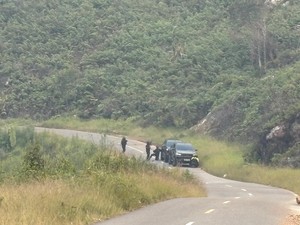 Rentetan Aksi Brutal KKB Papua Selama Agustus