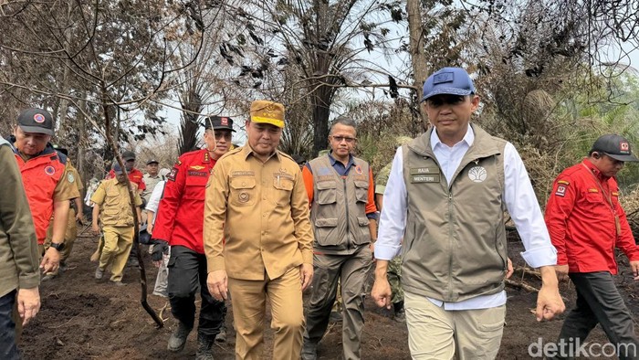 Menhut Raja Juli Antoni tinjau lokasi karhutla di Kubu Raya.