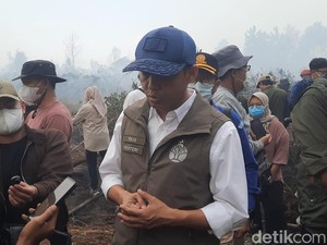 Video Menhut: Ada Call Center 24 Jam Tangani Satwa Terdampak Karhutla