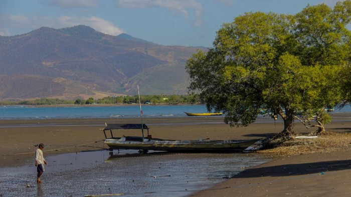 Warga berjalan di dekat perahu nelayan di pantai Desa Marapokot, Aesesa, Kabupaten Nagekeo, NTT, Minggu (23/8/2026). Sebagian nelayan setempat belum kembali melaut setelah gempa bumi pada 15 Agustus 2026 karena gempa susulan masih terjadi dan keluarga mereka masih berada di pengungsian. ANTARA FOTO/Johanes Viandinando/app/kye
