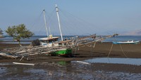 Perahu-perahu tersebut belum digunakan untuk melaut setelah gempa bumi yang mengguncang wilayah Nagekeo pada 15 Agustus 2026. ANTARA FOTO/Johanes Viandinando