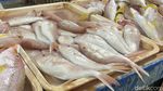 Harga Ikan di Pasar Pabean Surabaya Naik