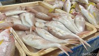 Makmun merinci sejumlah harga ikan yang mengalami kenaikan. Harga ikan tenggiri yang biasanya Rp 70 ribu per kilogram kini menjadi sekitar Rp 90 ribu.