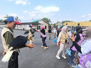 Pawai Kemerdekaan Hibur Warga Bayur Samarinda, Ada Kuda hingga Ular Sanca