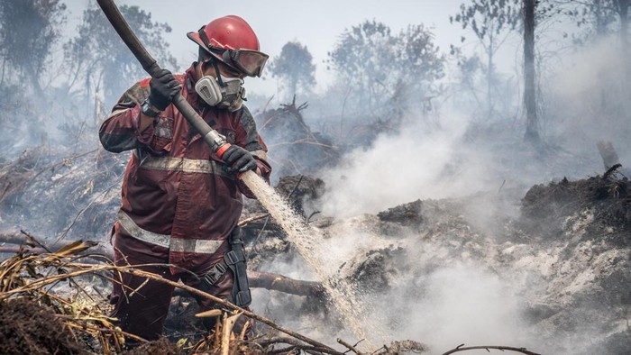Petugas gabungan berupaya memadamkan api yang membakar lahan gambut di Kabupaten Kampar, Riau, Senin (24/8/2026). Pemerintah Daerah Provinsi Riau bersama institusi terkait telah berhasil menekan luasan area kebakaran hutan dan lahan (karhutla) dari sekitar 16.000 hektare menjadi tersisa sekitar 900 hektare sepanjang Januari hingga Agustus 2026. ANTARA FOTO/Bayu Pratama S