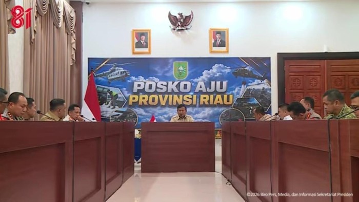 Rapat Bareng Presiden, Tito Dorong Pencegahan Karhutla di Riau Diperkuat