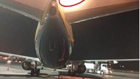Pesawat Delay, 'Dibajak' Burung Pemakan Bangkai