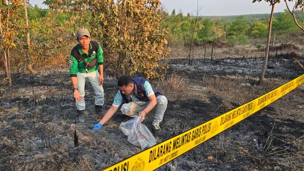 Satreskrim Polres OKU Timur sukses membekuk tiga laki-laki nan diduga kuat sebagai pelaku pembakaran lahan di area PT Musi Hutan Persada (MHP), Desa Banu Ayu. (Dok istimewa).