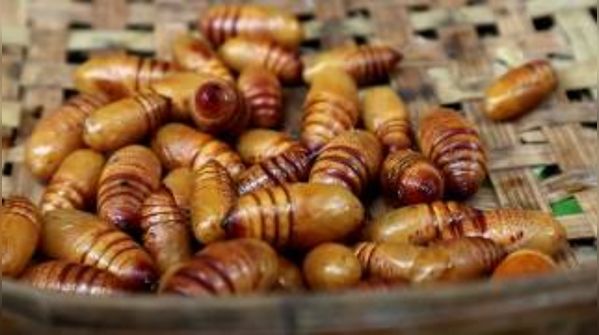 Sering Ditakuti Turis, 5 Makanan di India Ini Pakai Ulat hingga Kodok! Sering Ditakuti Turis, 5 Makanan di India Ini Pakai Ulat hingga Kodok!