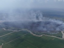 774,14 Hektare Lahan di TN Way Kambas Terbakar, Water Bombing Disiapkan
