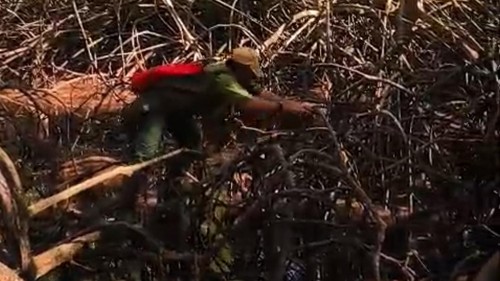 Petugas mengecek kubangan air bagi satwa di TNBB, Jembrana, Bali, Sabtu (22/8/2026).