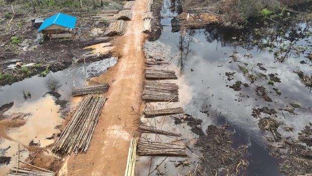 Areal PBPH PT. MAP di Mempawah, Kalimantan Barat yang diduga terjadi perambahan hutan Areal PBPH PT. MAP di Mempawah, Kalimantan Barat yang diduga terjadi perambahan hutan