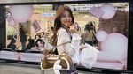 Asyiknya Vilmei Makan Sashimi Jepang hingga Salt Bread Renyah di Korea